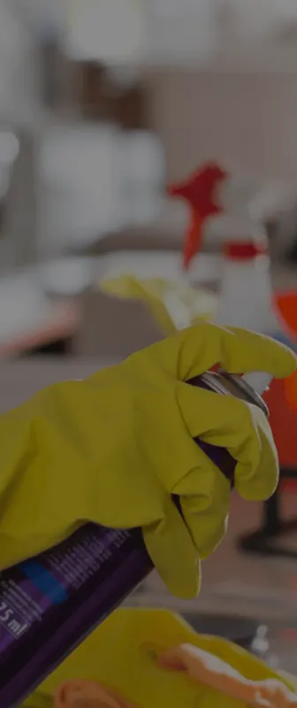 Cleaners Available in Dania